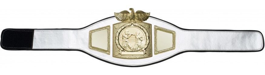 PROEAGLE BOXING CHAMPIONSHIP BELT - PROEAGLE/G/BOXG - AVAILABLE IN 6+ COLOURS